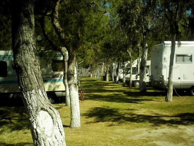 zobacz camping - zdjęcie 15