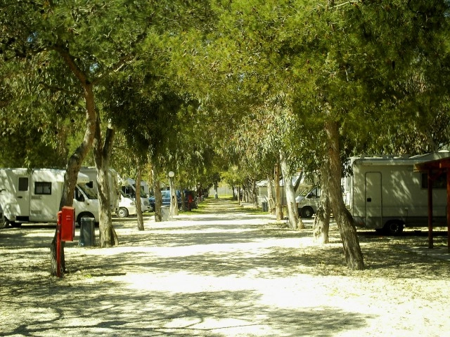 zobacz camping - zdjęcie 13