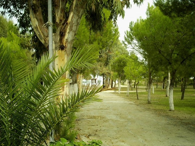 zobacz camping - zdjęcie 12