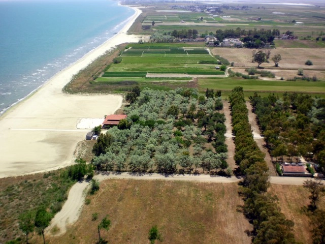 Campeggio Lido Salpi - zdjęcie 3