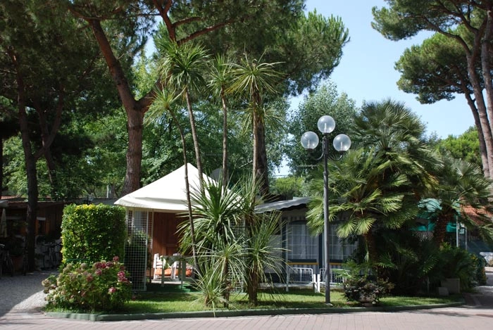 zobacz camping - zdjęcie 32