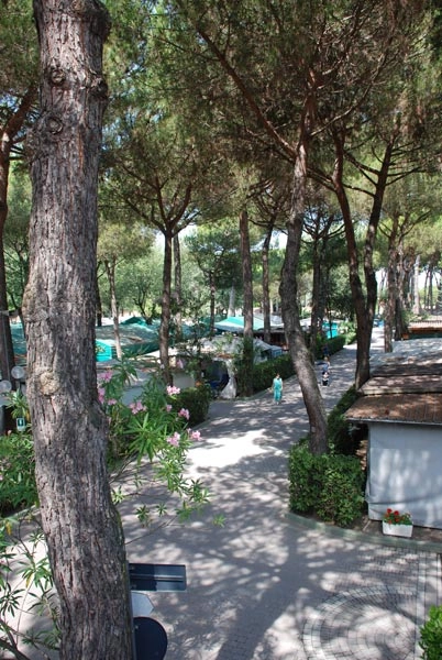 zobacz camping - zdjęcie 31