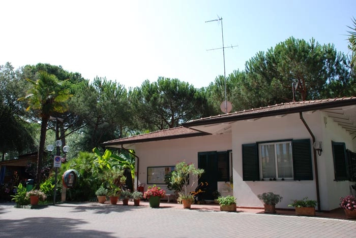 zobacz camping - zdjęcie 28