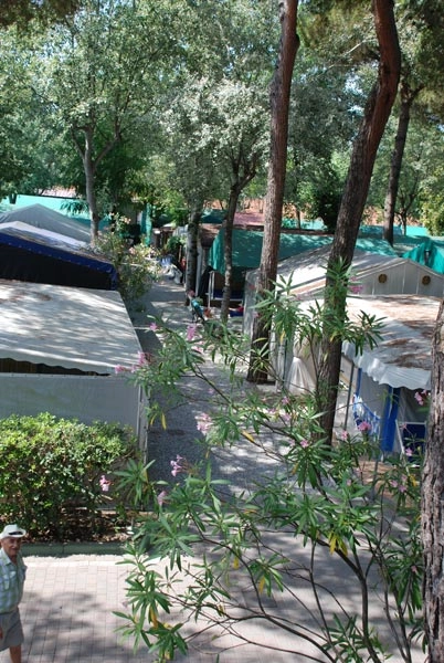 zobacz camping - zdjęcie 27