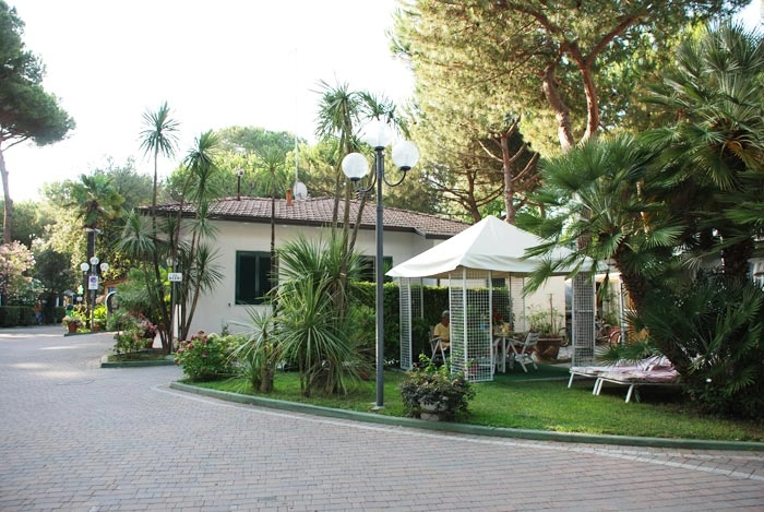 zobacz camping - zdjęcie 26