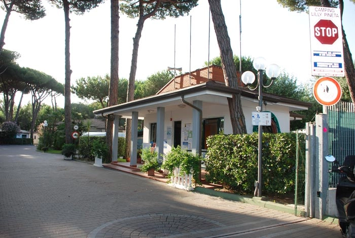 zobacz camping - zdjęcie 25