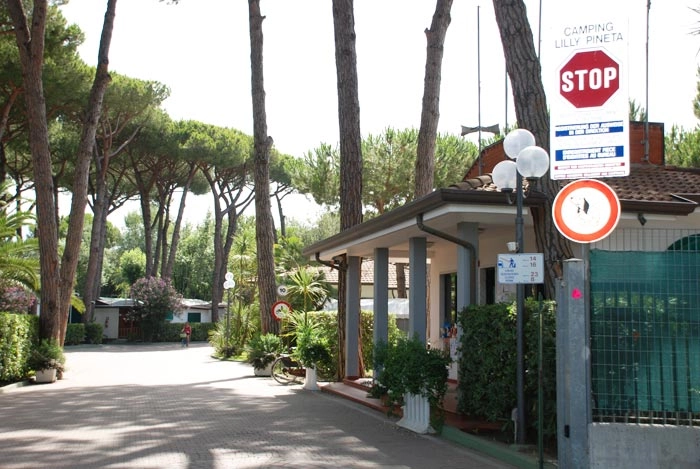 zobacz camping - zdjęcie 22