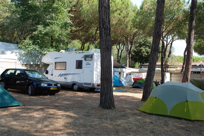 zobacz camping - zdjęcie 21