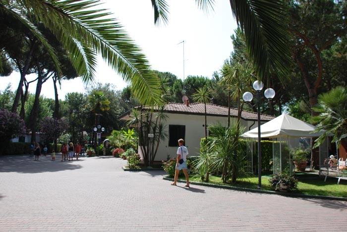 zobacz camping - zdjęcie 18