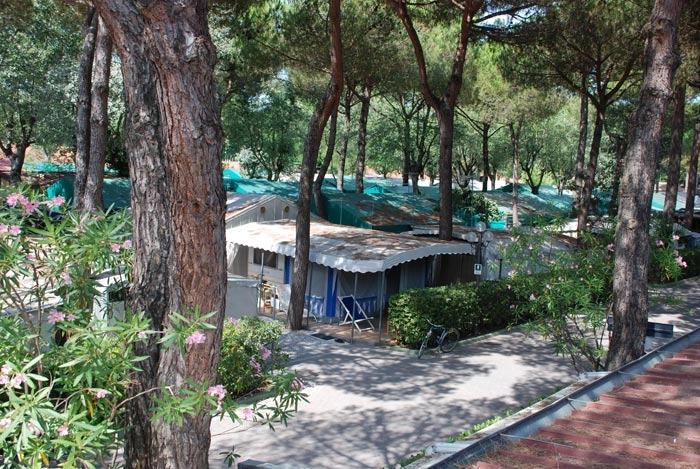 zobacz camping - zdjęcie 17