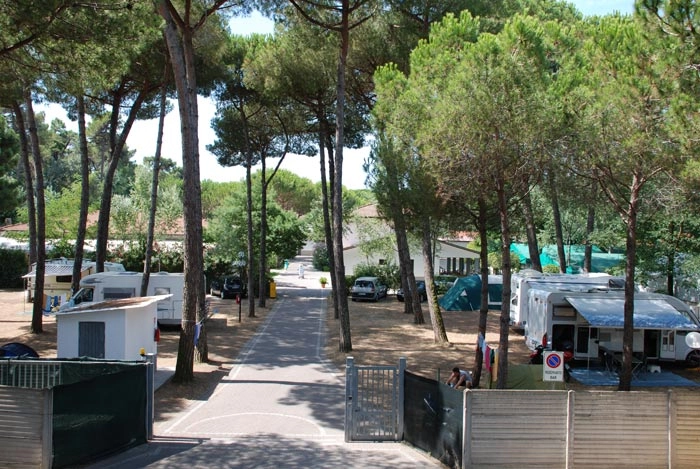 zobacz camping - zdjęcie 7