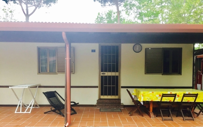 zobacz camping - zdjęcie 14