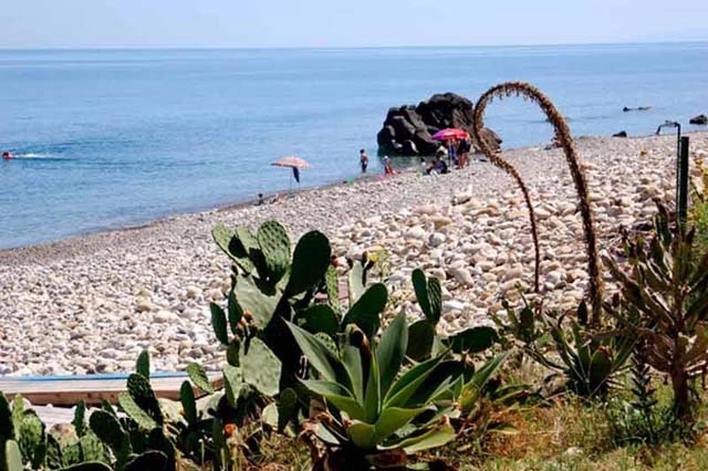 zobacz camping - zdjęcie 24