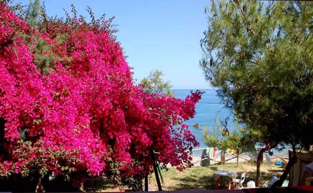 zobacz camping - zdjęcie 1