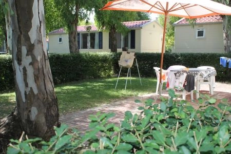 zobacz camping - zdjęcie 28