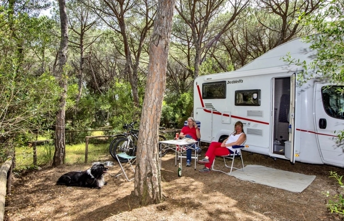 zobacz camping - zdjęcie 11