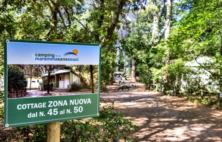 zobacz camping - zdjęcie 9