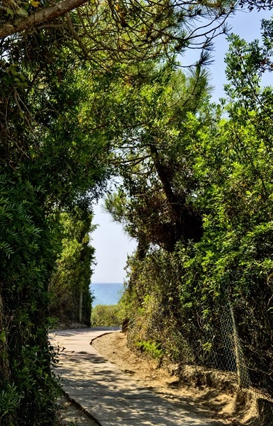 Campeggio Maremma Sans Souci - zdjęcie 1