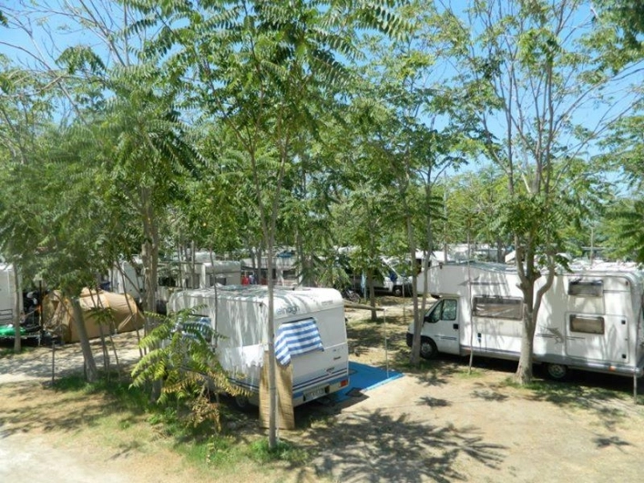 zobacz camping - zdjęcie 5