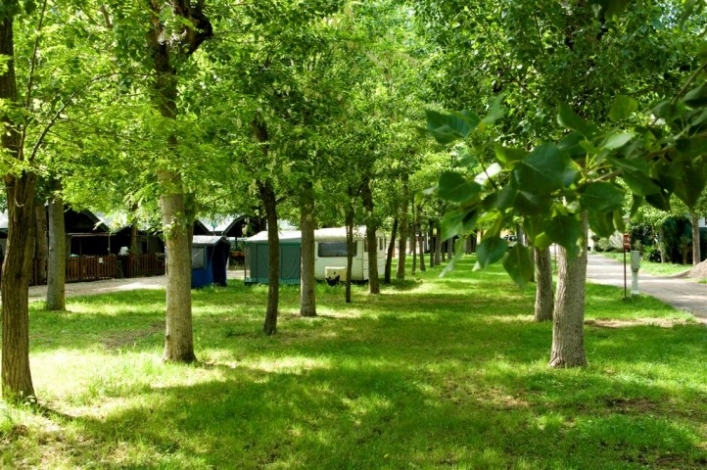 zobacz camping - zdjęcie 38