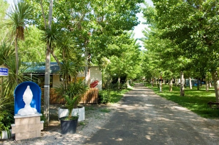 zobacz camping - zdjęcie 29