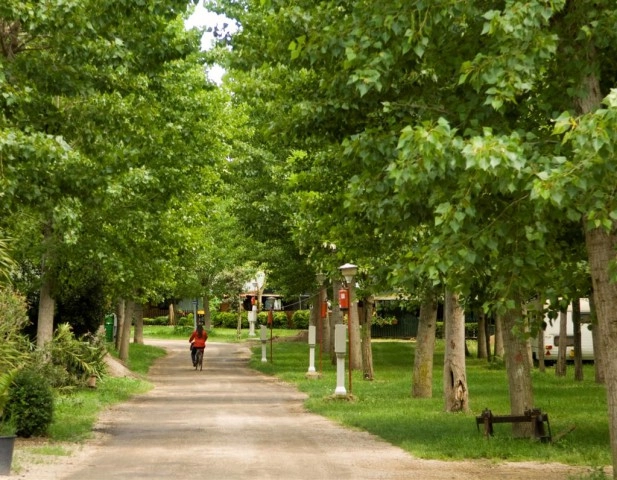 zobacz camping - zdjęcie 28