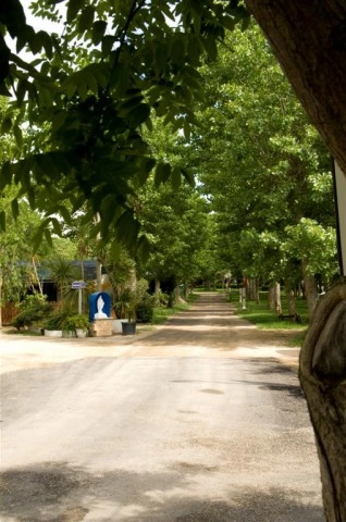 zobacz camping - zdjęcie 27