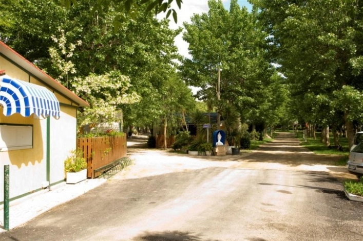 zobacz camping - zdjęcie 26