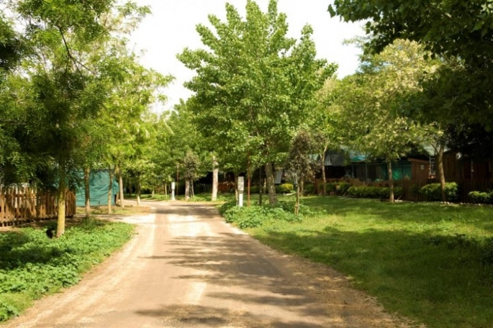 zobacz camping - zdjęcie 25