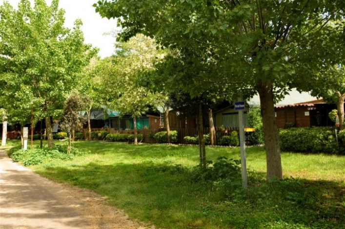 zobacz camping - zdjęcie 24