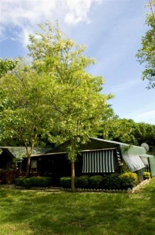 zobacz camping - zdjęcie 22