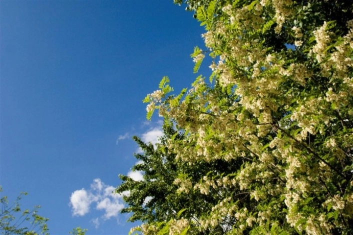 zobacz camping - zdjęcie 15