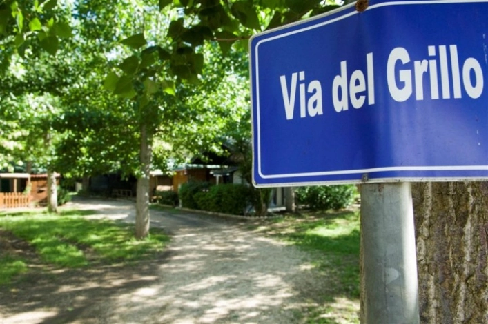 zobacz camping - zdjęcie 14