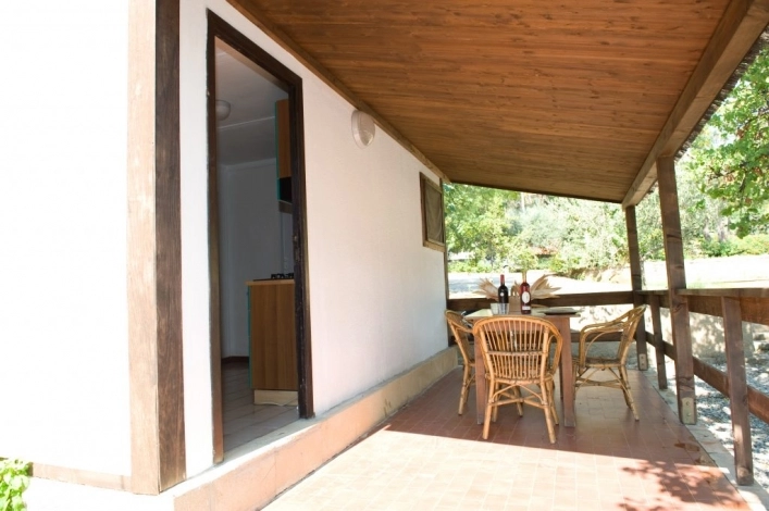 zobacz camping - zdjęcie 21