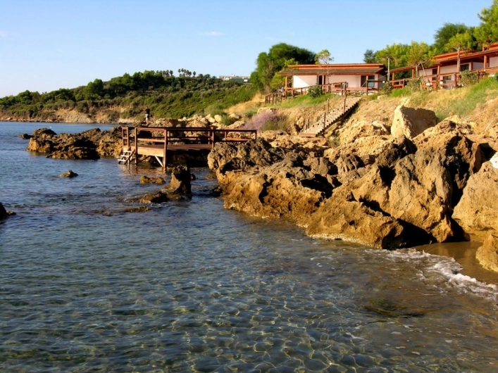 zobacz camping - zdjęcie 15