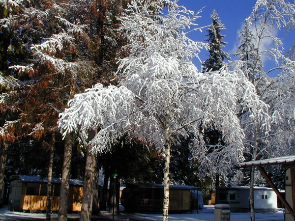 zobacz camping - zdjęcie 6