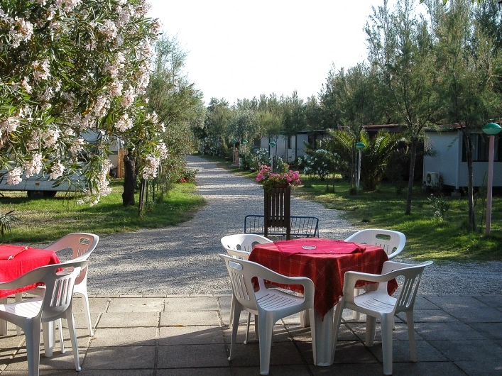 zobacz camping - zdjęcie 5