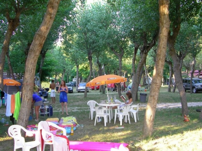 zobacz camping - zdjęcie 8