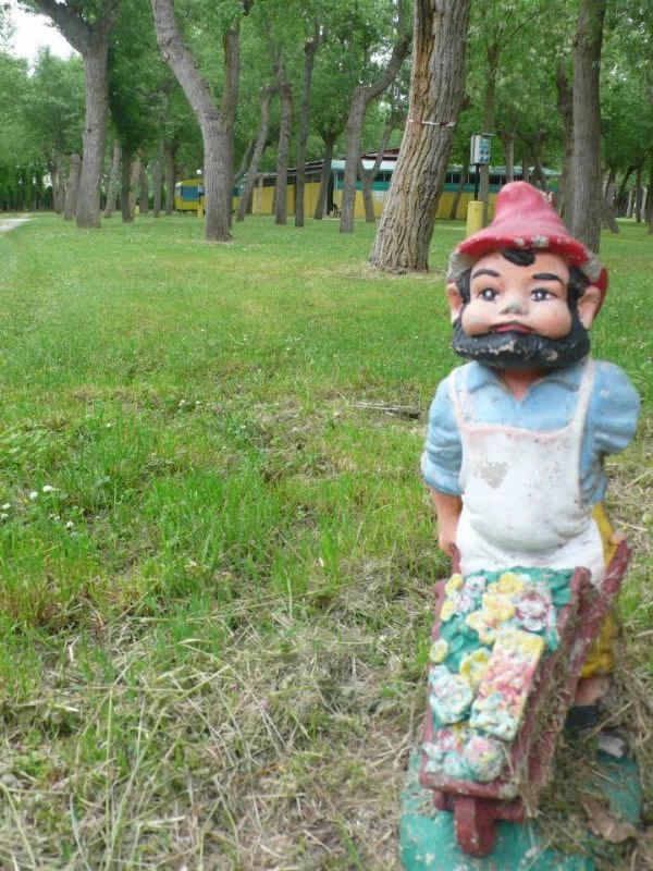 zobacz camping - zdjęcie 5