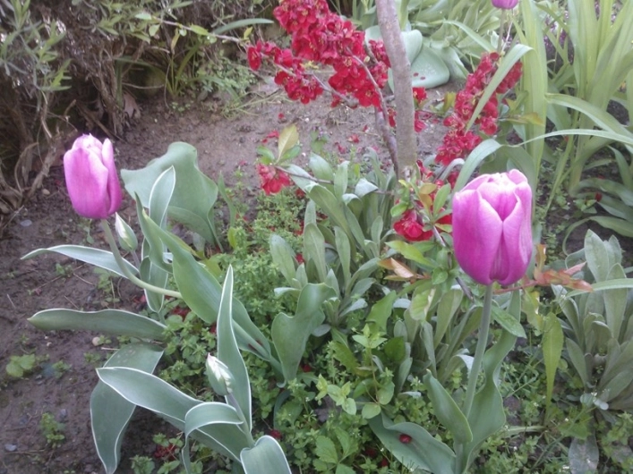 zobacz camping - zdjęcie 19