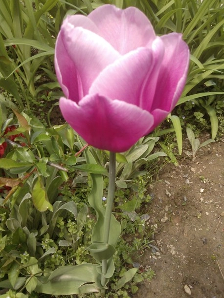 zobacz camping - zdjęcie 17