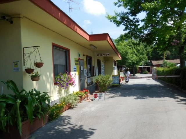 zobacz camping - zdjęcie 6