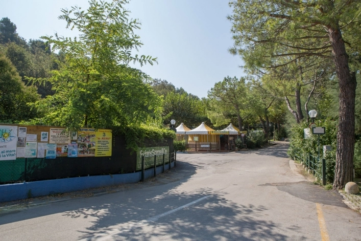 zobacz camping - zdjęcie 6