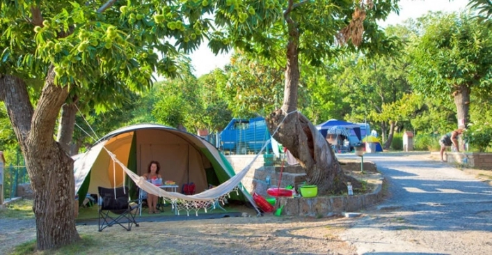 zobacz camping - zdjęcie 23