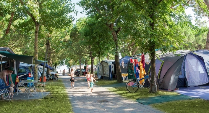 zobacz camping - zdjęcie 20