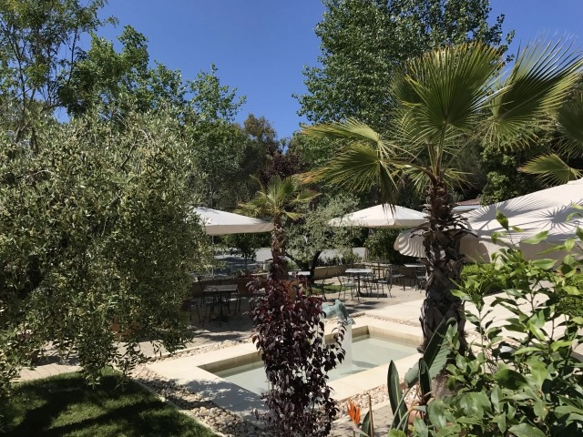 zobacz camping - zdjęcie 54