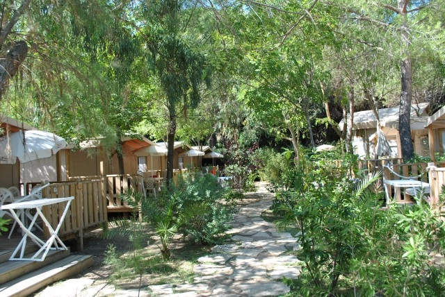 zobacz camping - zdjęcie 50