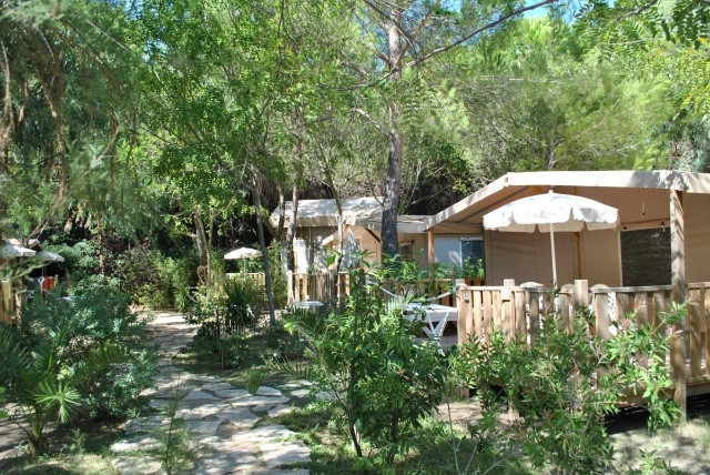 zobacz camping - zdjęcie 49