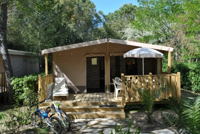 zobacz camping - zdjęcie 48