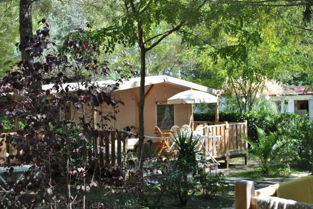 zobacz camping - zdjęcie 47